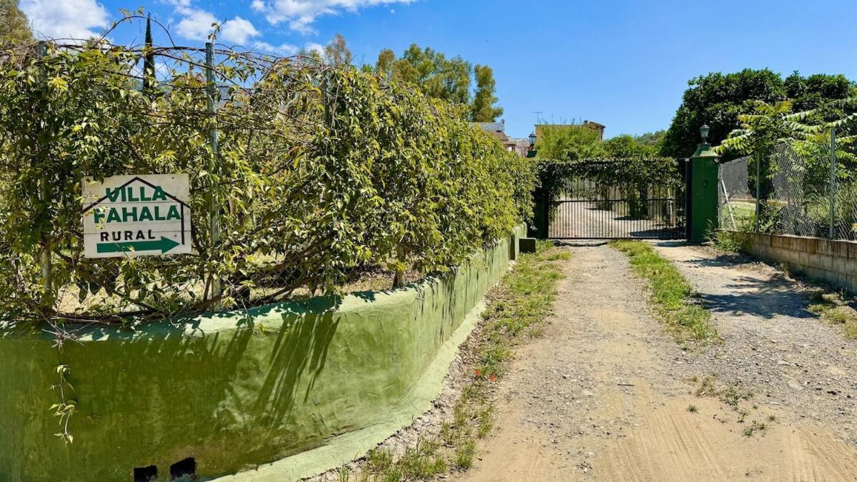 Feriehus De Diseno Con Piscina Y Barbacoa Málaga